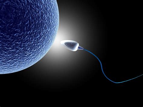hava ile temas eden sperm ne kadar yaşar